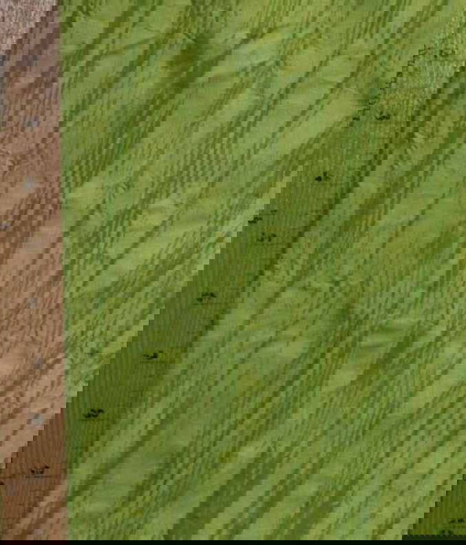 Creast Crushed Taffeta  by the yard - New Star Fabrics