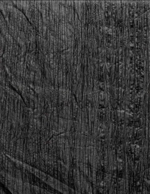 Creast Crushed Taffeta  by the yard - New Star Fabrics