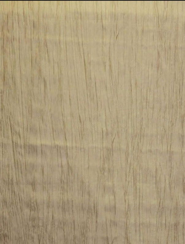 Creast Crushed Taffeta  by the yard - New Star Fabrics