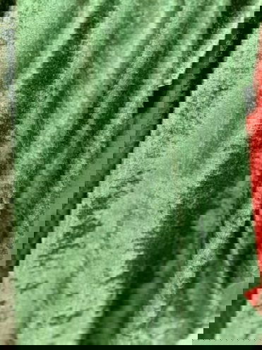Stretch Panne Velvet Velour Fabric  by the yard - New Star Fabrics